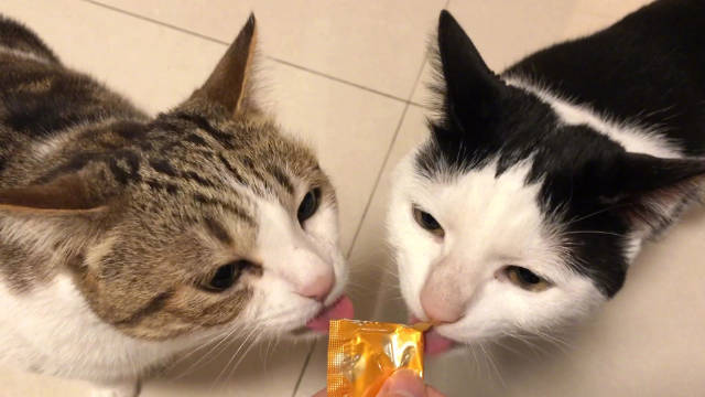 瓜皮萌萌 姐妹俩一起吃零食